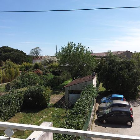 Appartement T2 Albi Eksteriør billede